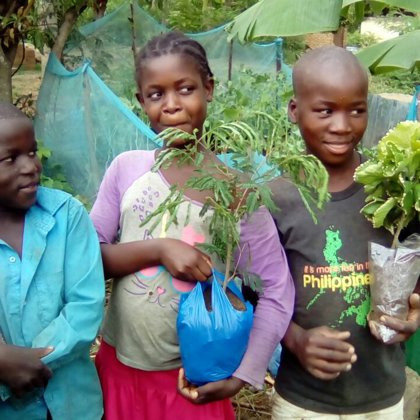 One tree one child planting activity